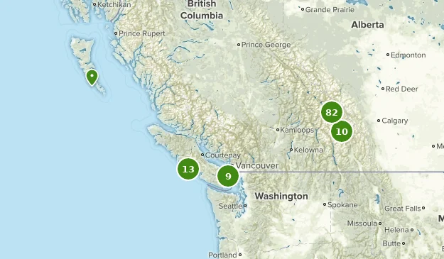 British Columbia Ostrich Cull: What Happened and Why Now